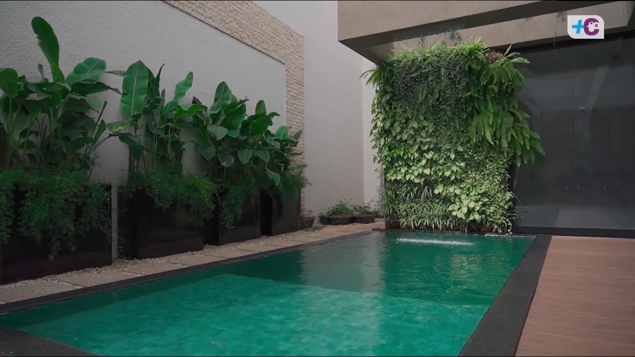Jardim em casa. Ideias para o paisagismo na fachada e piscina