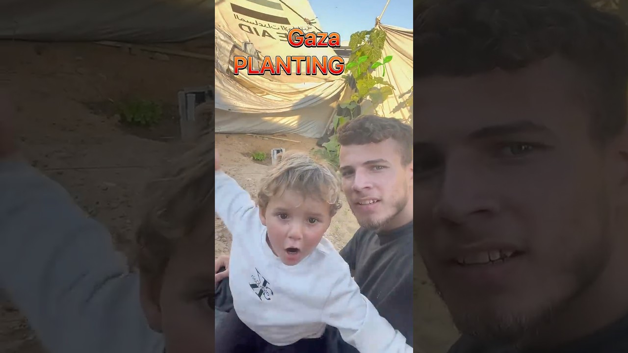 🌱 Planting seeds in Gaza to make our homeland green again 🌱 #gaza #palestine #farming #palestina