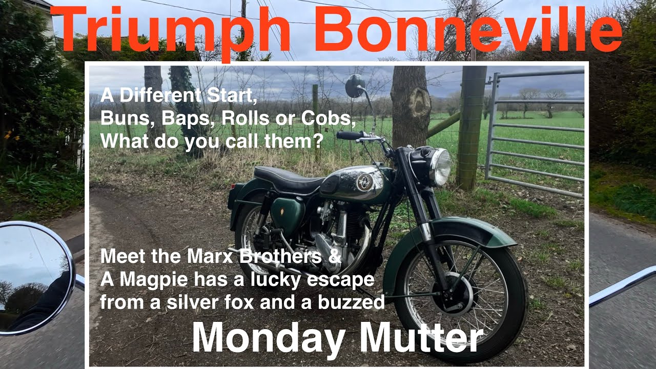 What Do You Call Them, Buns, Baps, Rolls or Cobs? & A Lucky Magpie Triumph Bonneville Monday Mutter