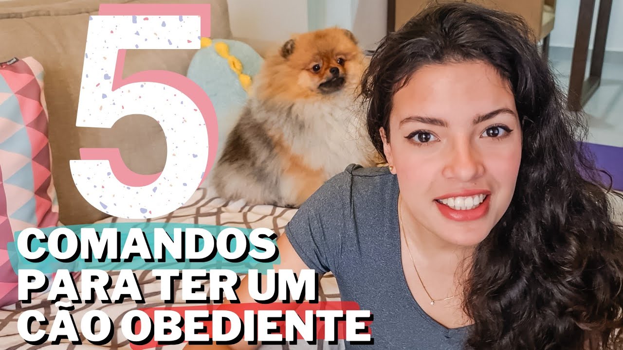 Como ADESTRAR seu cachorro em CASA 🏠