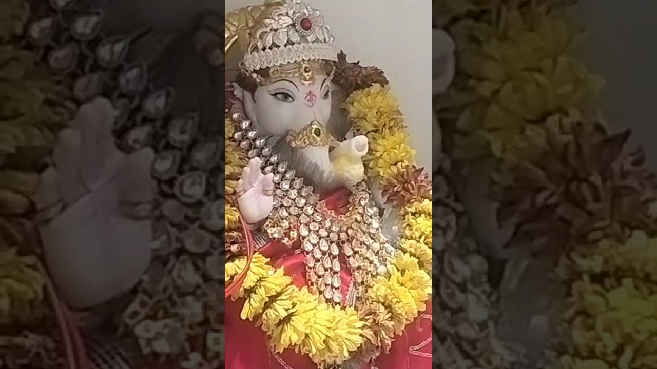 Shyam ji ki Aarti 20 Feb 26