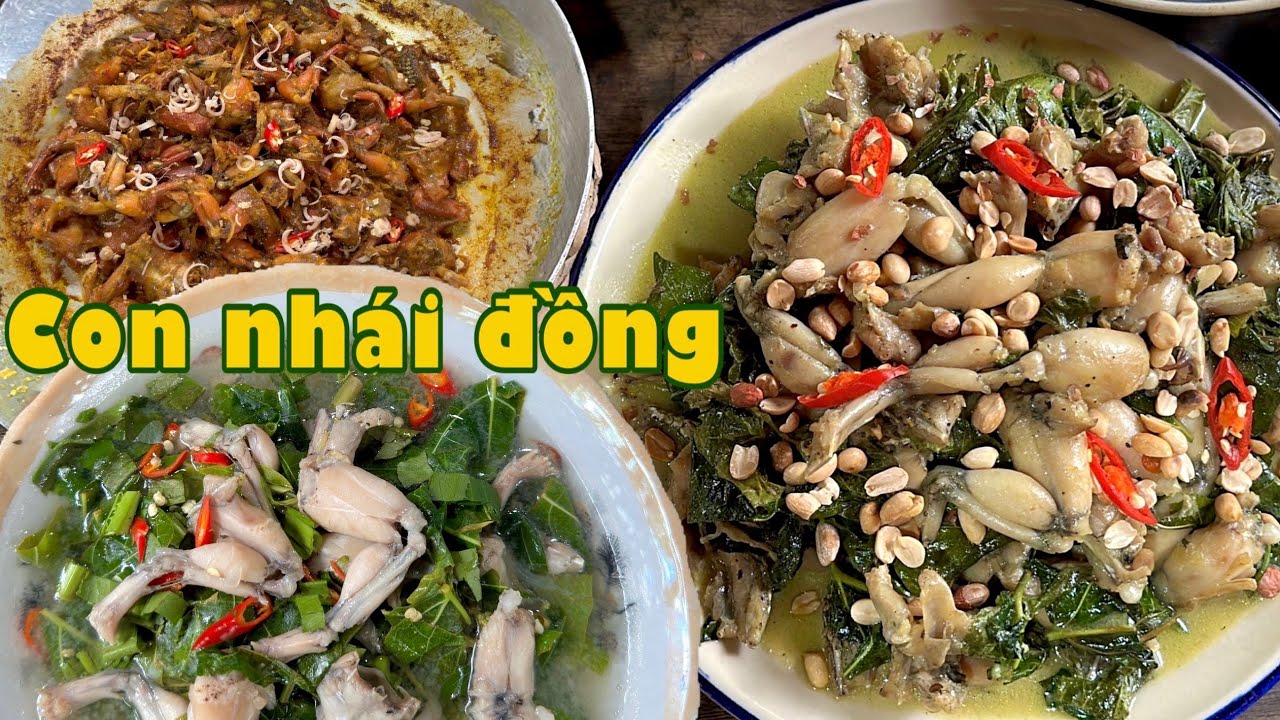 Thương nhớ VŨ ĐIỆU ĐỒNG QUÊ - Những món ngon từ con nhái quê nhà | Đặc sản miền sông nước
