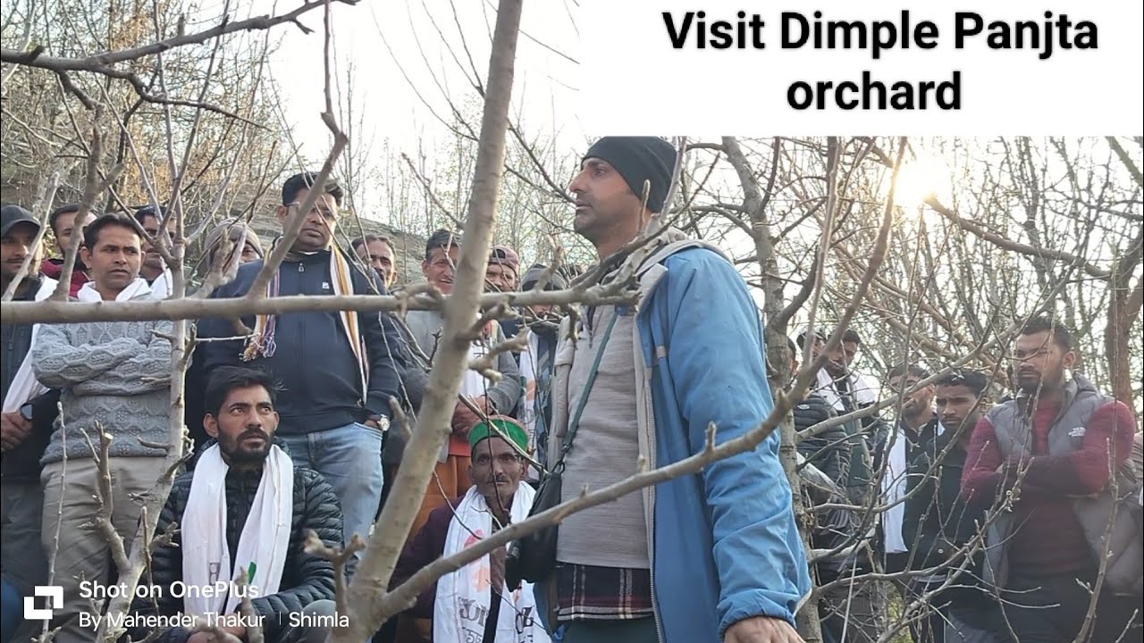 Visit Dimple Panjta orchard