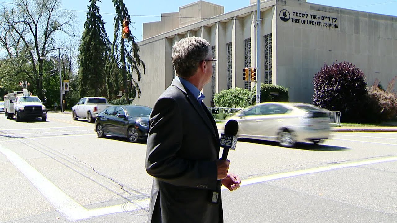 Reporter Update: Andy Sheehan - Tree of Life Petition To Avoid Trial