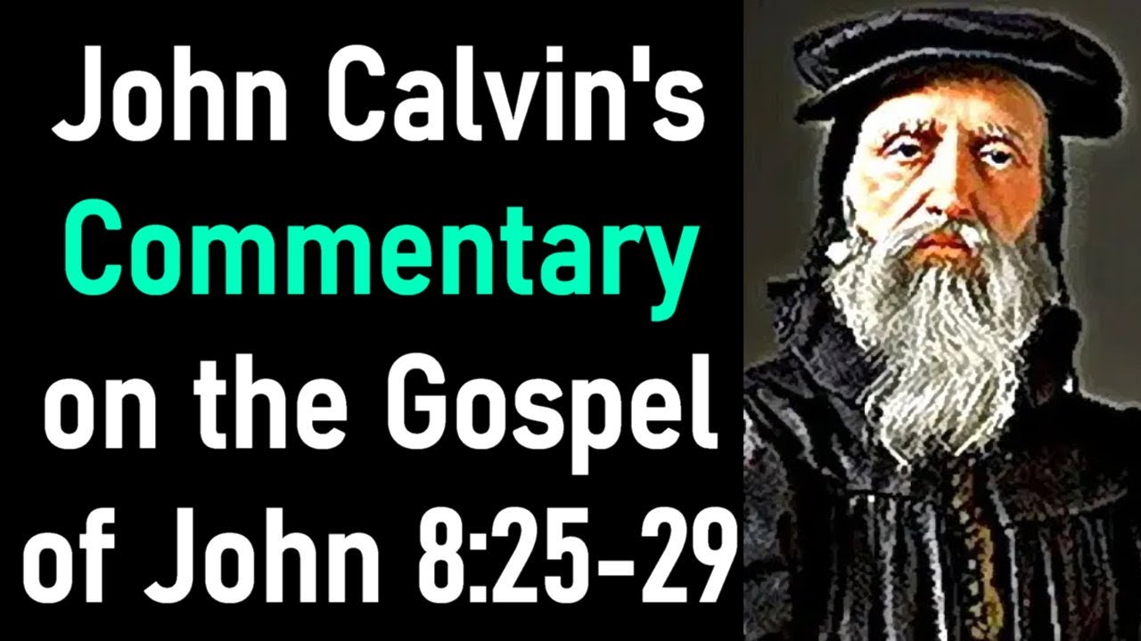 Commentary on the Gospel of John 8:25-29 - John Calvin