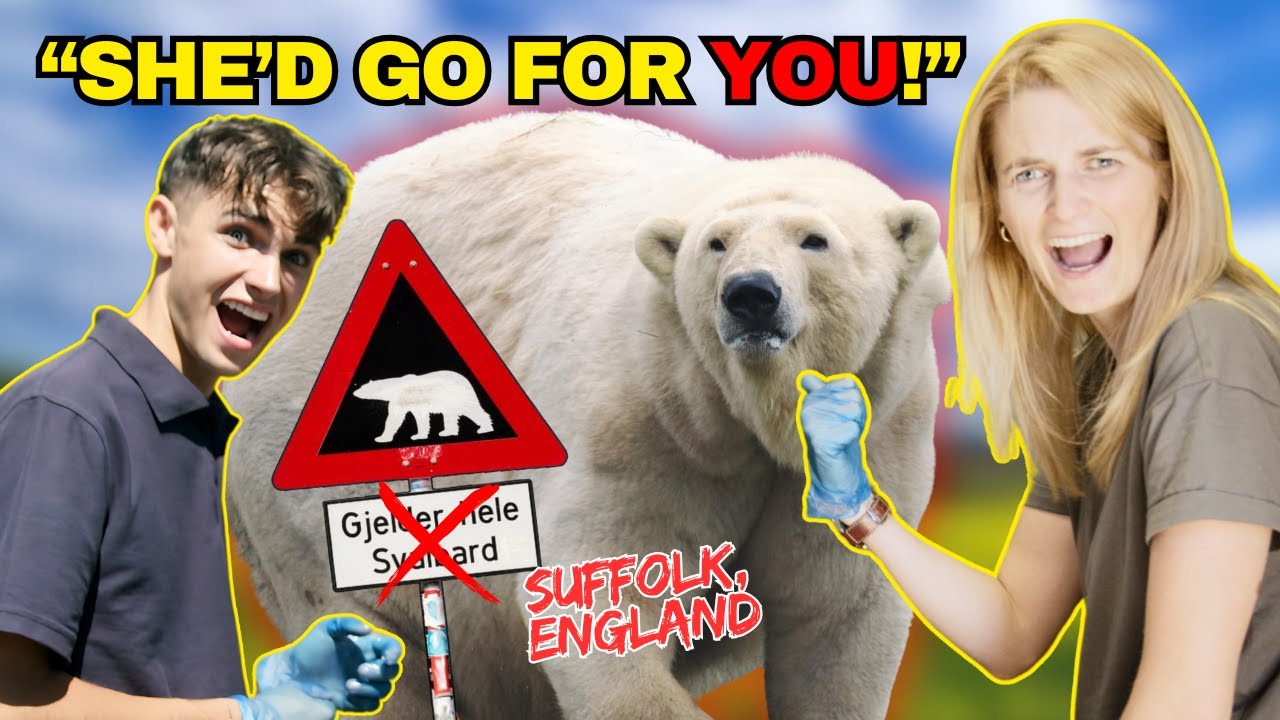Polar Bears In ENGLAND!! With Kyle Thomas