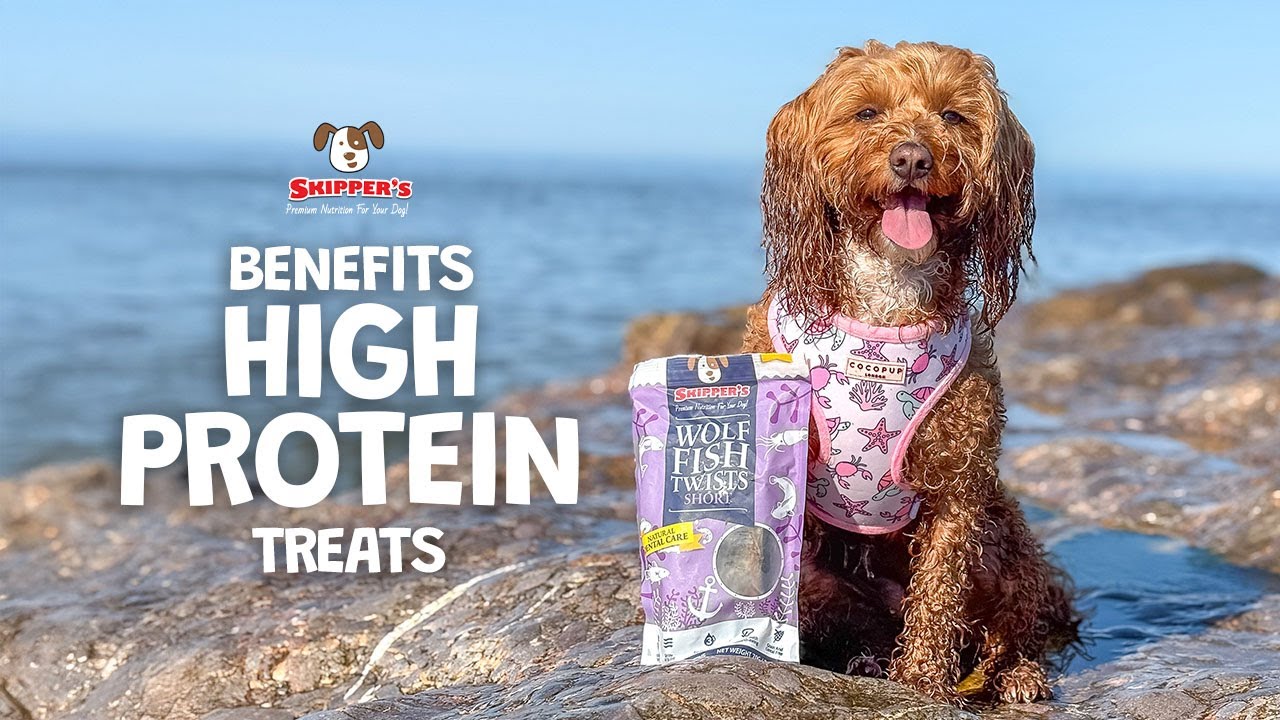 High Protein Treats for Working Dogs