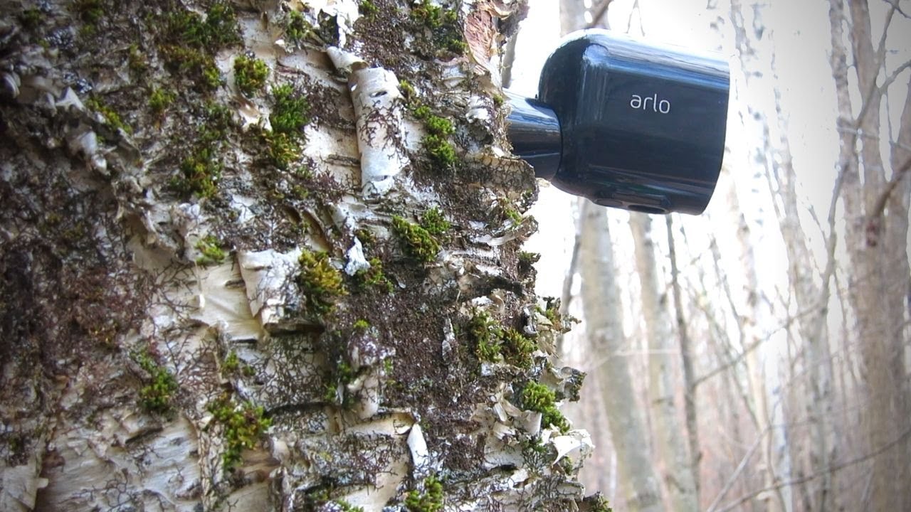 Arlo Pro 4 Security Cameras: Unboxing | Setup | First Impression