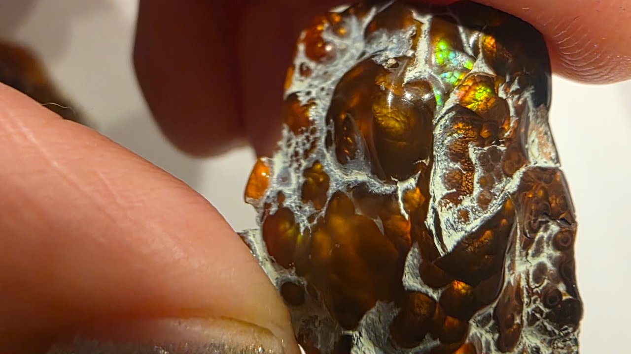 6 Wild Mexican Fire Agates 🔥From last Tucson Gem Show finally coming out to play