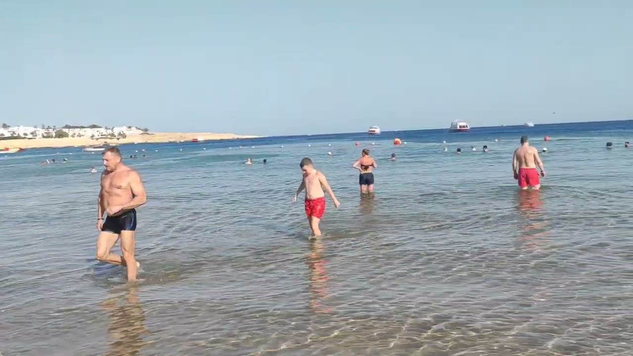 Шарм Эль шейх ПОГОДА 7 апреля медузы появились #египет26 #море