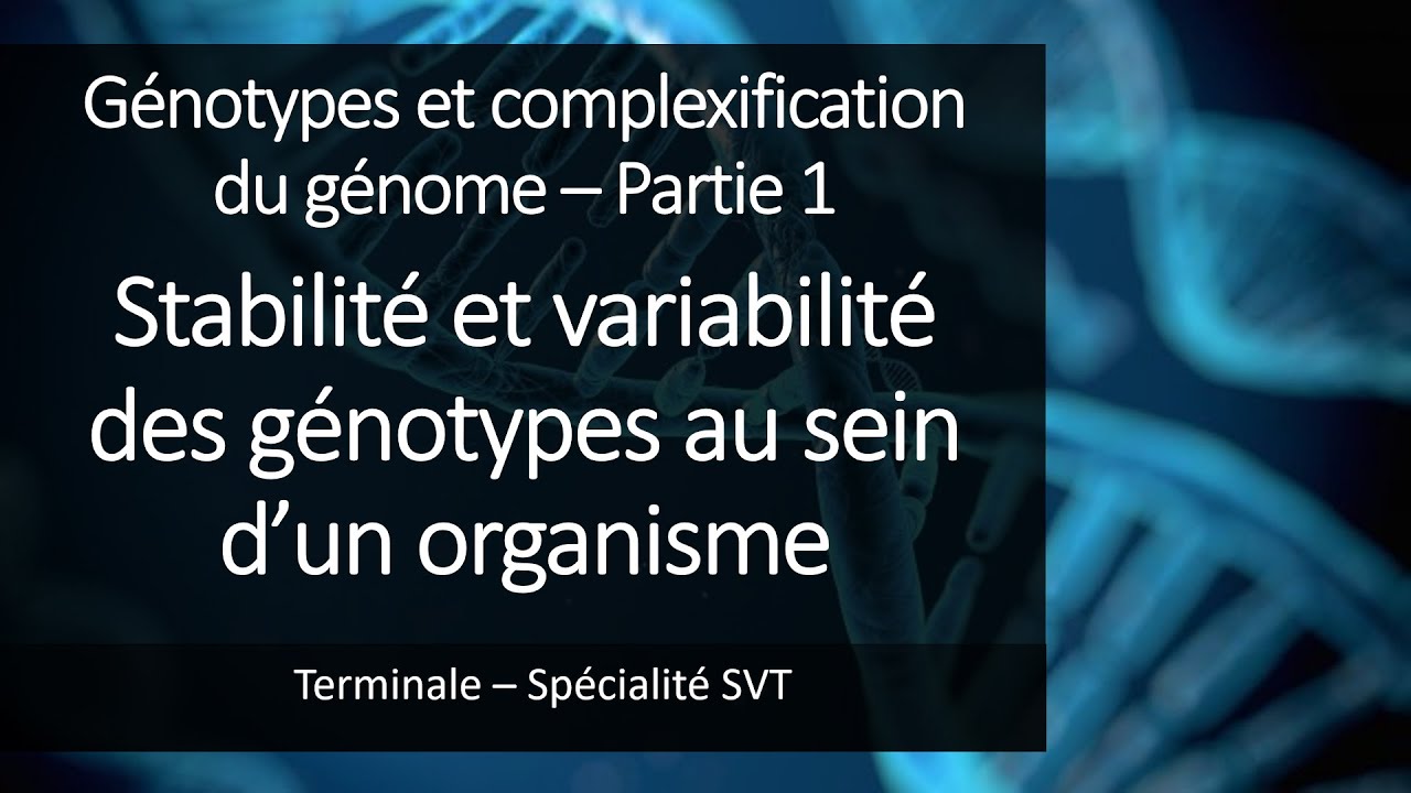 Cours Sp&eacute; SVT Terminale - Stabilit&eacute; et variabilit&eacute; des g&eacute;notypes