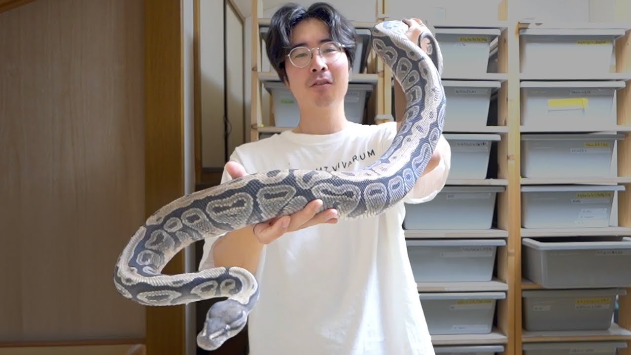デカすぎる
