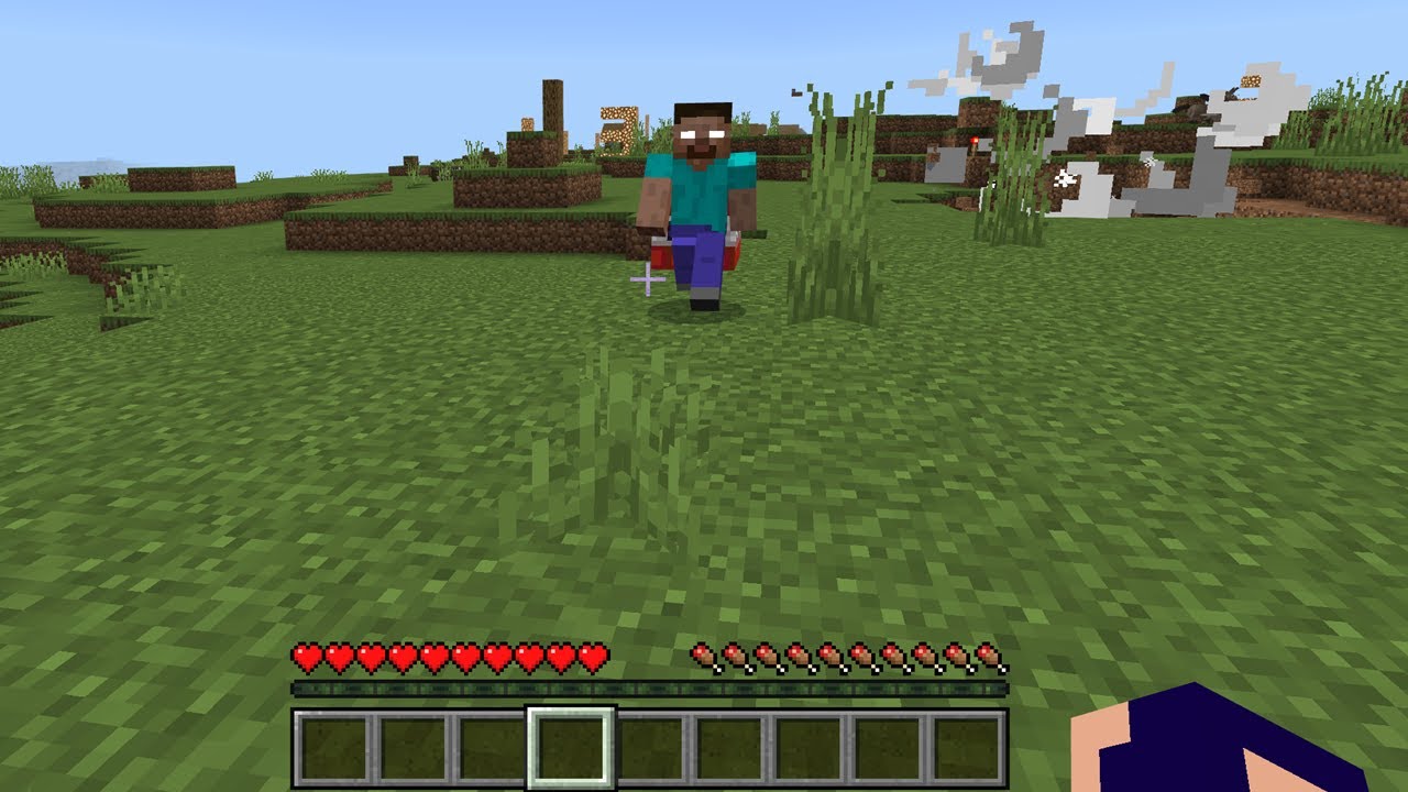DESAFIEI O HEROBRINE NO MINECRAFT...