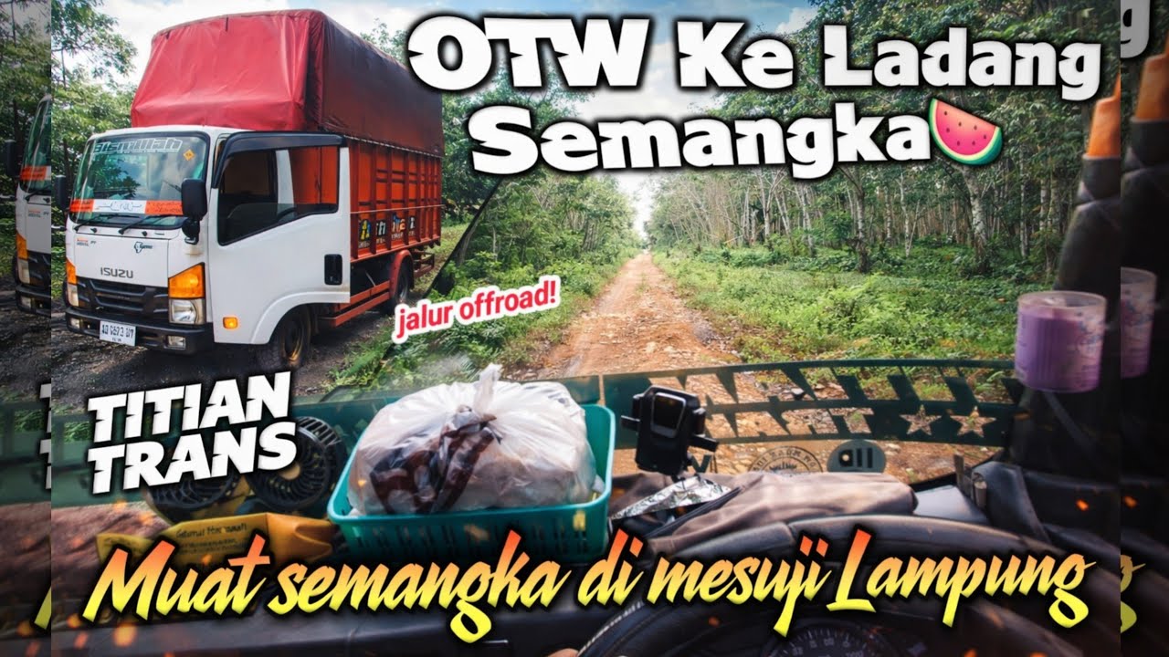 jalur offroad ke ladang semangka‼️ prepare muat 🍉 di Mesuji Lampung