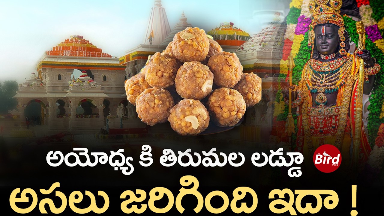 అయోధ్య కి తిరుమల లడ్డూ..అసలు జరిగింది ఇదా ! | Tirumala Laddu For Ayodhya | Bird Media |