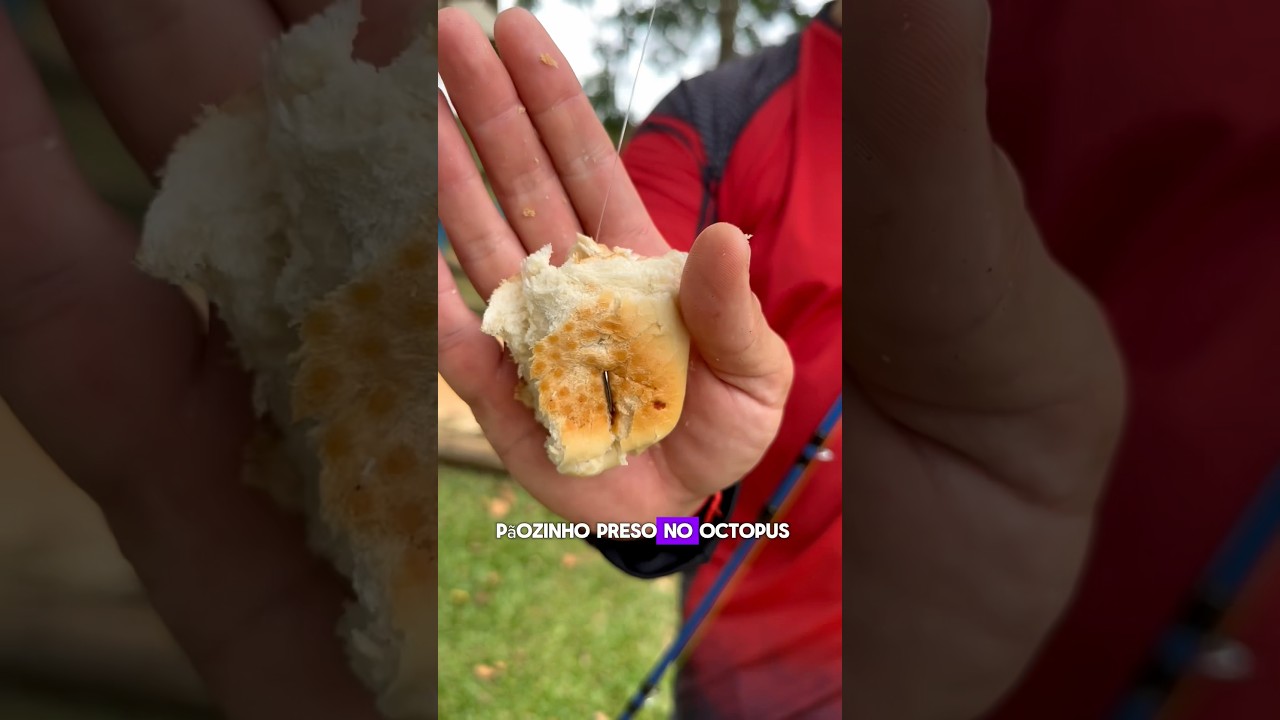 COMO ISCAR E MONTAR O SISTEMA DA BOIA P&Atilde;O SEM A BOIA PARTE02 #tatosnopesqueiro