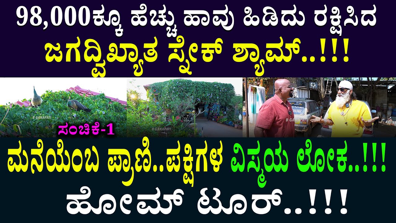98,000ಕ್ಕೂ ಹೆಚ್ಚು ಹಾವು ಹಿಡಿದು ರಕ್ಷಿಸಿದ ಜಗದ್ವಿಖ್ಯಾತ ಸ್ನೇಕ್ ಶ್ಯಾಮ್..!!!ಹೋಮ್ ಟೂರ್..!!!