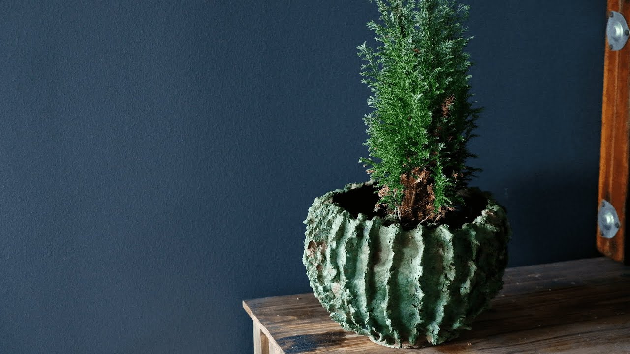 DIY Stylish Concrete Pot | Easy Step-by-Step Tutorial