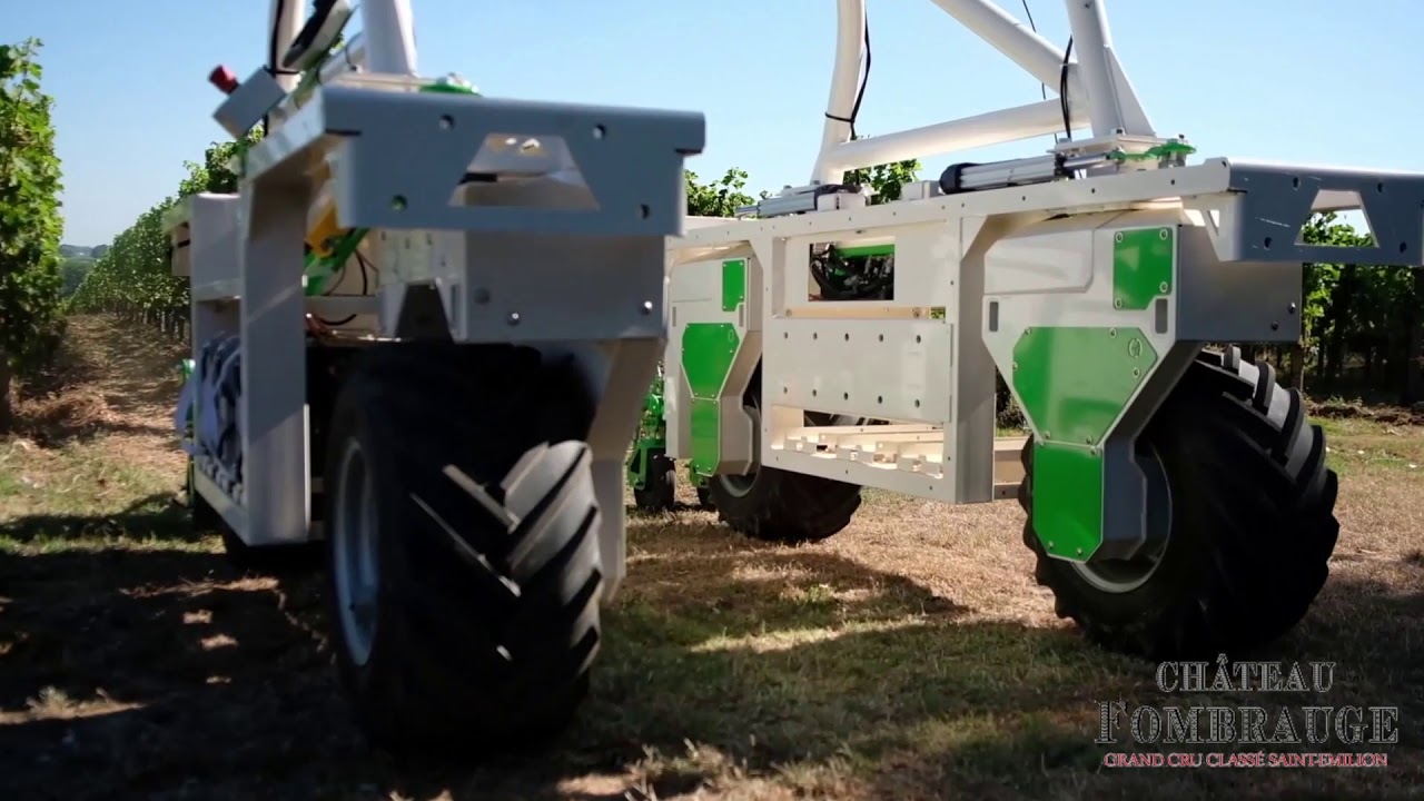 Le robot de désherbage autonome Ted, dans le vignes de Château Fombrauge