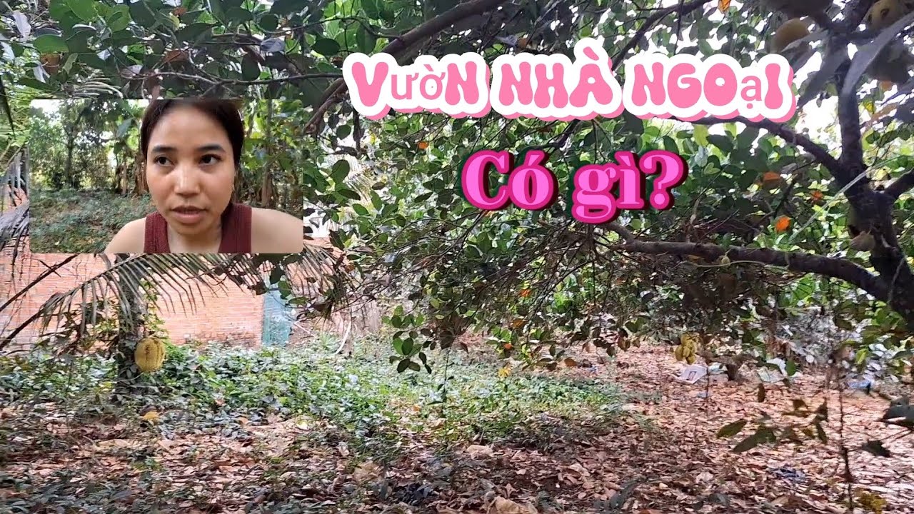 Chồng Nga 🇷🇺, Vợ Việt 🇻🇳|| #ViệtNamvlog08 ||Vườn Nhà Ngoại Có Gì? Về chưa Tháng hết 50 triệu