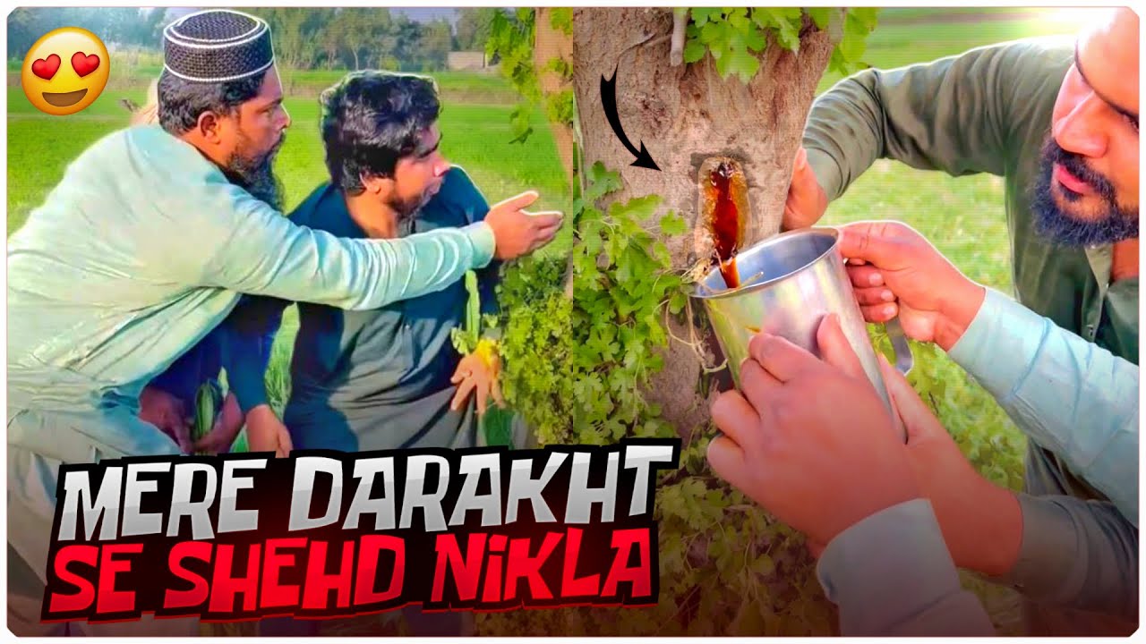 Mere Darakht Se Shehd Nikla!! 🤩 - Khizar Omer