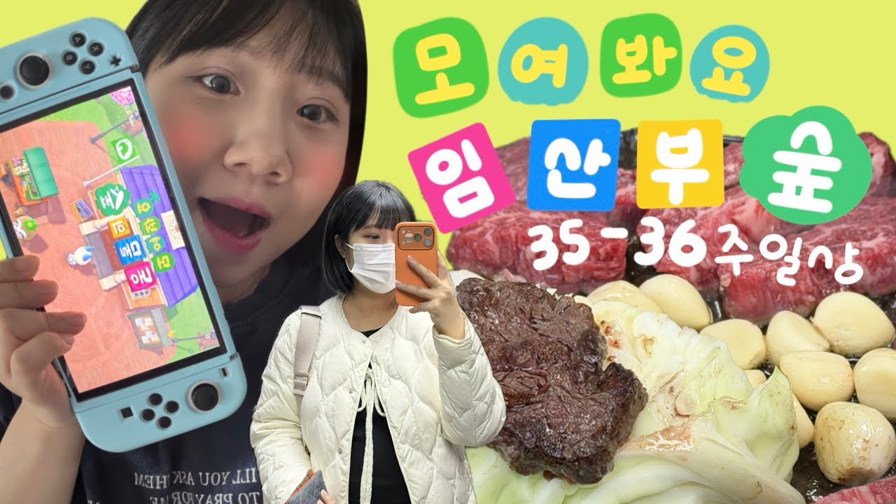 임산부의 숲 35-36주일상 모여라 (다이소하울/먹방/막달검사)