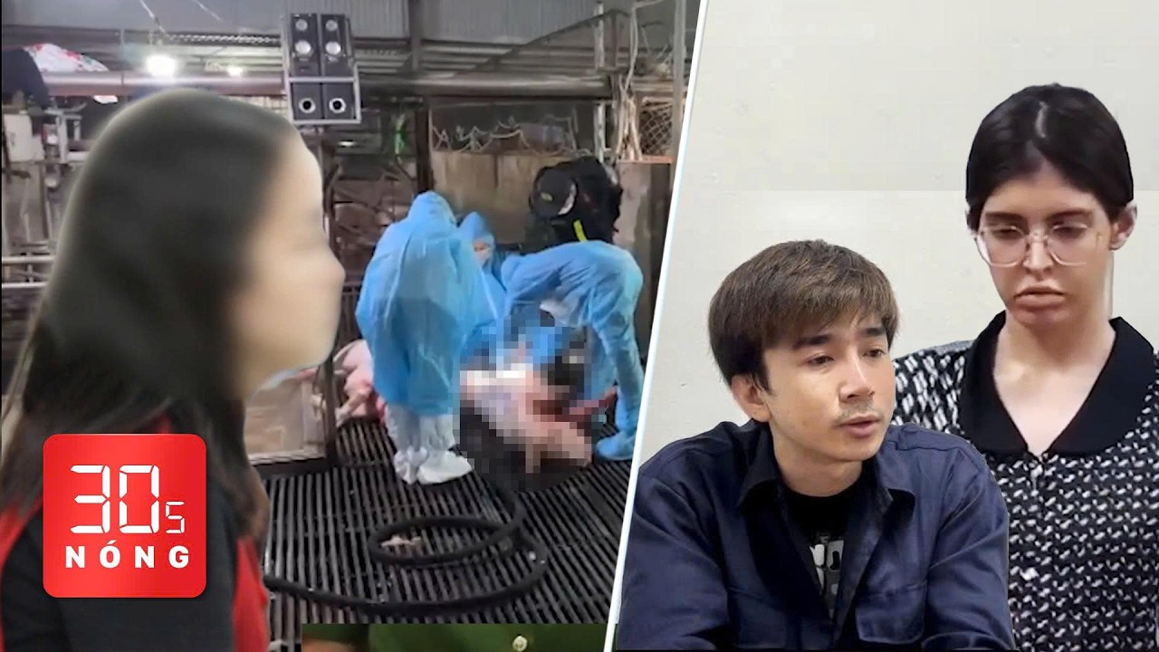 Bản tin 30s N&oacute;ng: Truy tố ca sĩ Chi D&acirc;n, người mẫu An T&acirc;y; Diễn biến vụ 300 tấn heo bệnh