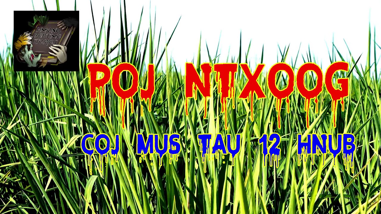 Poj Ntxoog Coj Mus Tau 12 Hnub (Scary Story)
