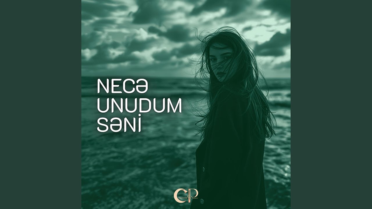 Necə Unudum Səni (Remix)
