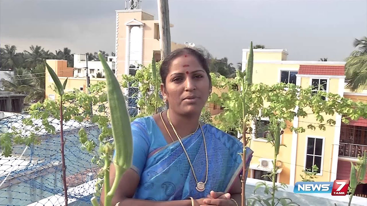 How to take care of plants in Terrace Garden? | Poovali | News7 Tamil