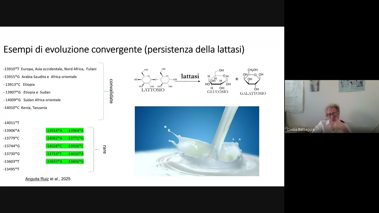 Ambiente, nutrizione, adattamenti genetici, Cinzia Battaggia (Sapienza Università, Roma)