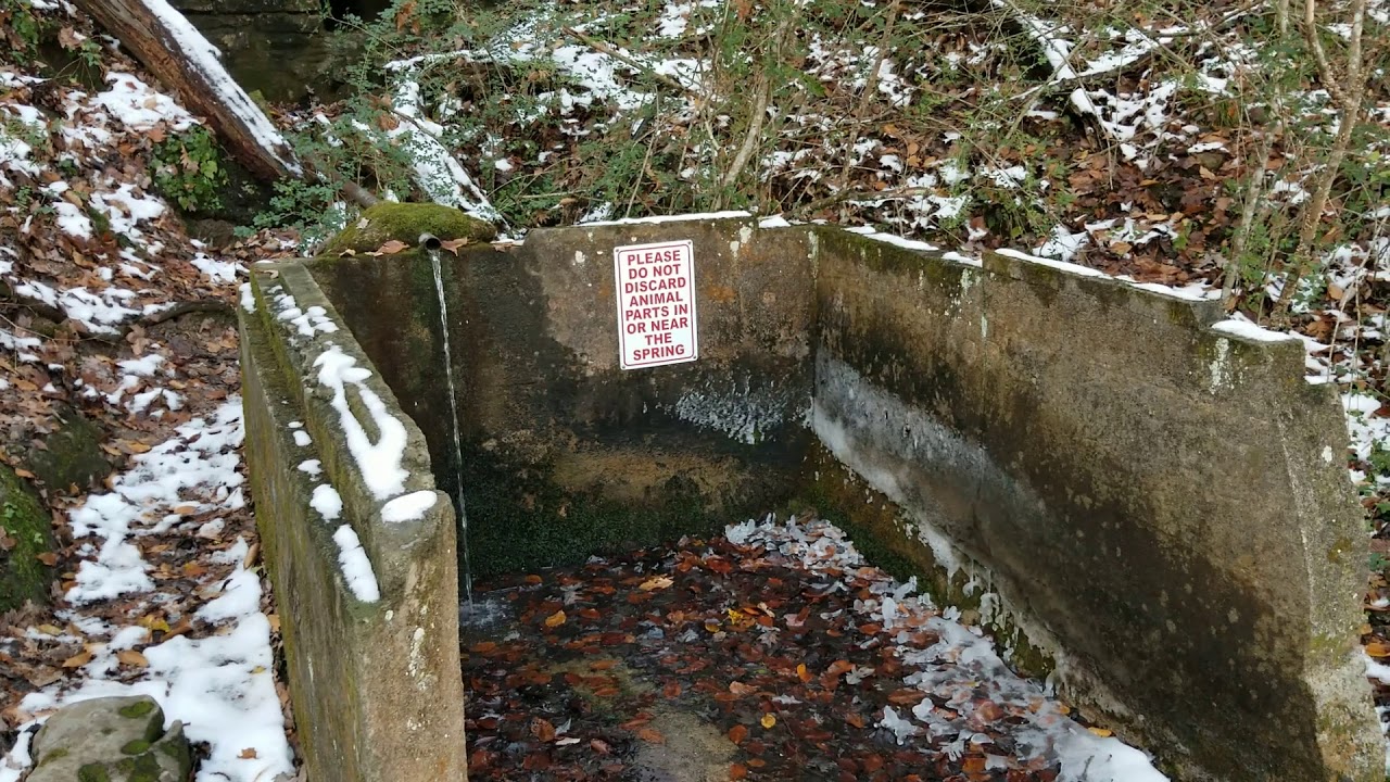 Come along as we are Driving and Exploring Chuck Swan WMA in East Tennessee