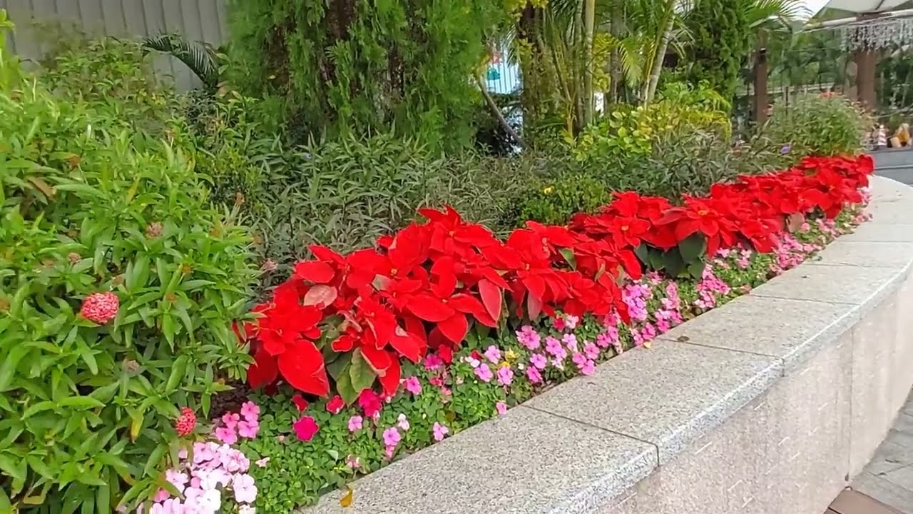 Aberdeen Promenade||Taman Tepi laut #Sofia's