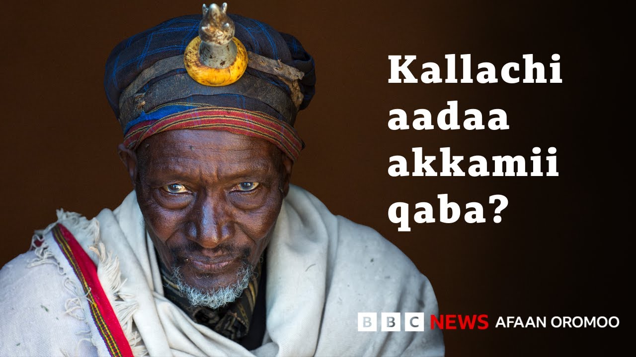 Abbaa Gadaa Boranaatiif meeshaa ulfoo kan hojjetan Koonsoo ta'uu beektuu?