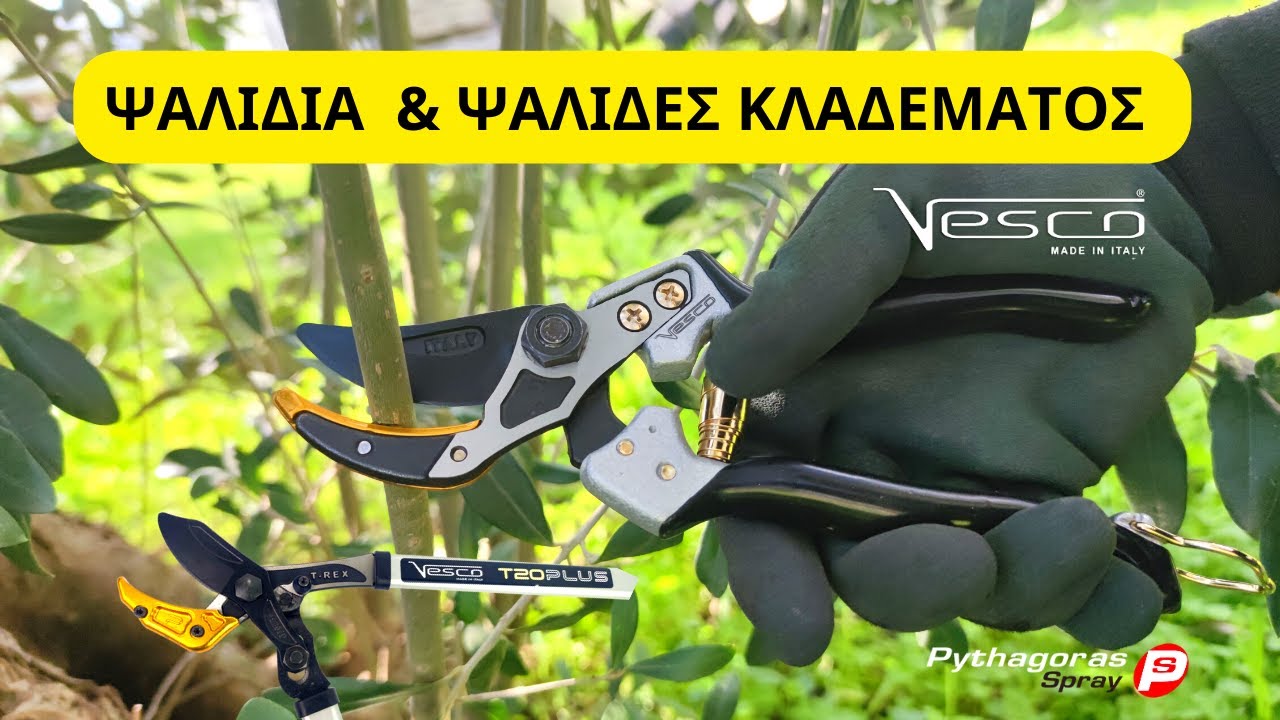 ΨΑΛΙΔΙΑ & ΨΑΛΙΔΕΣ ΚΛΑΔΕΜΑΤΟΣ ΧΕΙΡΟΣ VESCO
