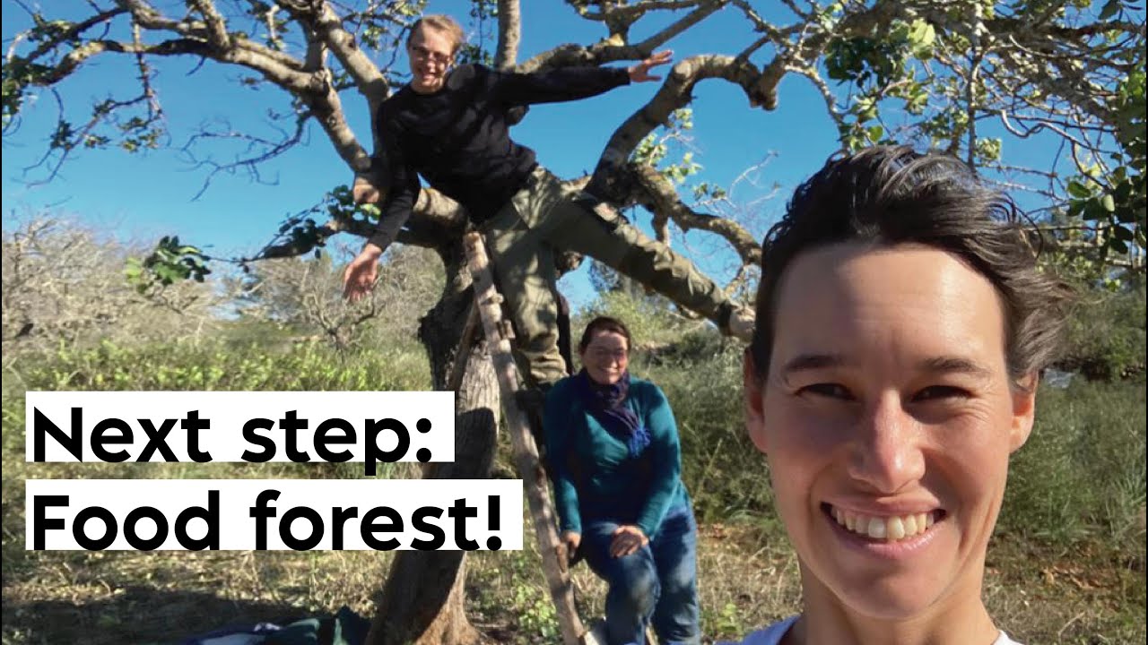 #20 Buying baby trees for our food forest in Mallorca