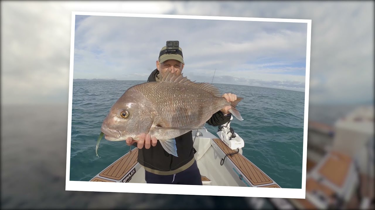 How to catch Snapper on NZ's WEST COAST - Daiwa Angler Talk