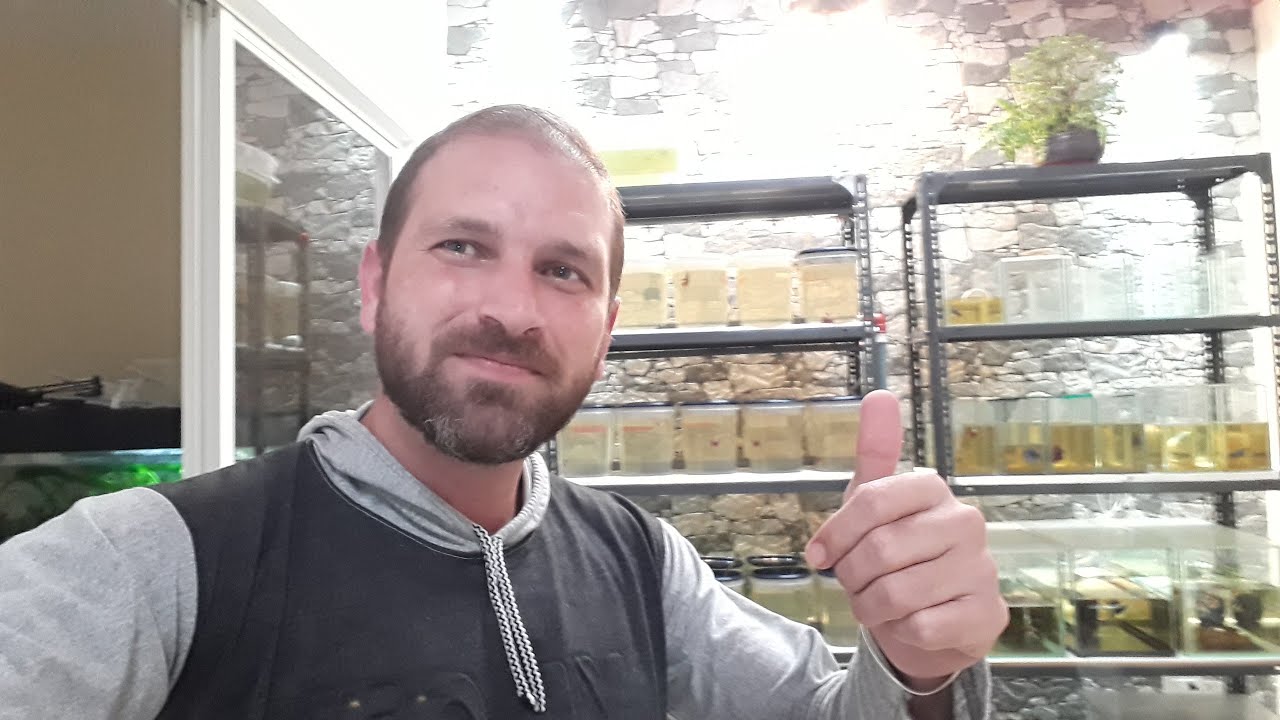 SISTEMA DE BETTERAS RECIRCULADAS, una herramienta útil, DRIP SISTEM