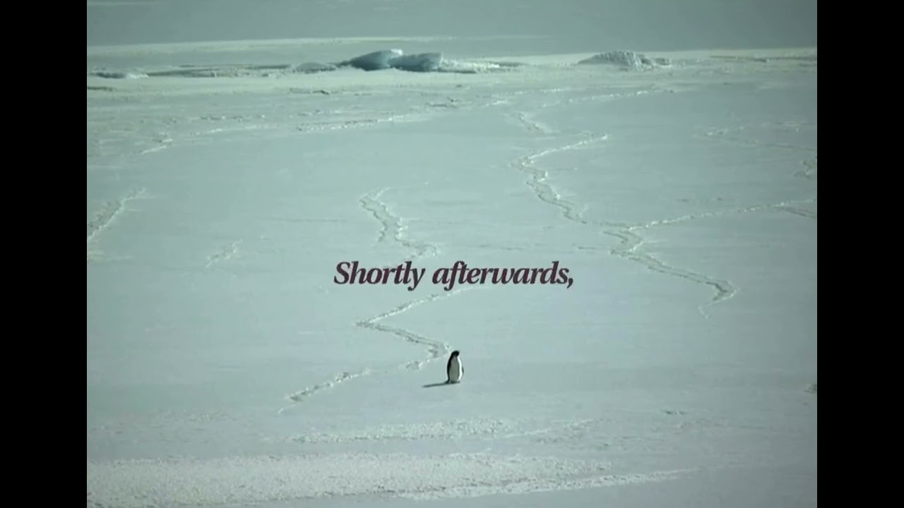 The story of the penguin walking alone toward the mountains.