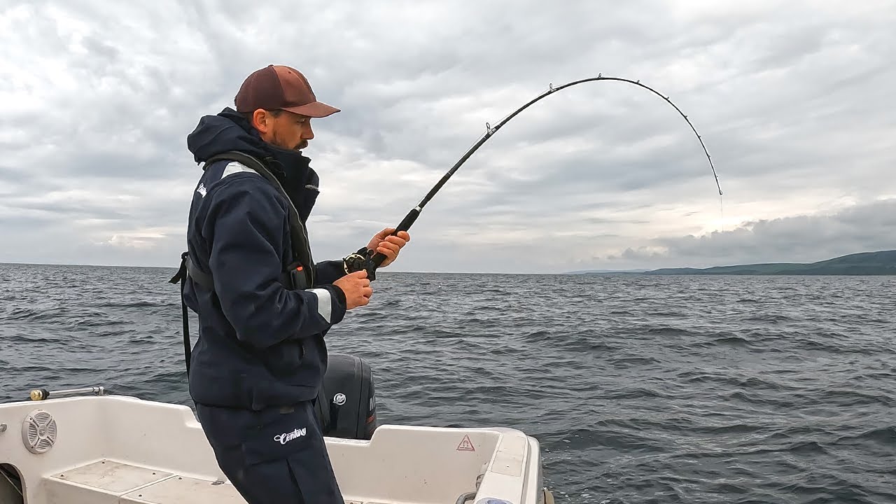 Catching Tope Using Pollack | Sea Fishing UK