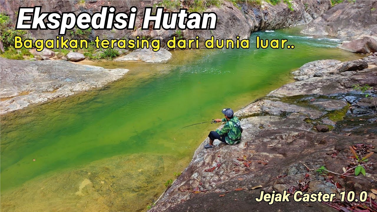 Ekspedisi Hutan | di saat musim ribut tropika melanda.