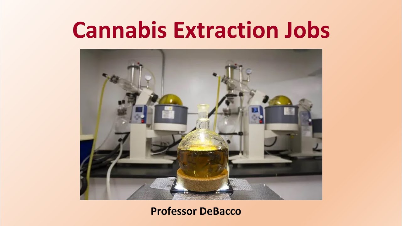 Cannabis Extraction Jobs