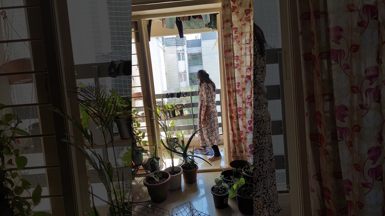 ✨பழக்கம் routine ah மாறிடுச்சு 😊Cleaning work #positivevibes #cleaningroutine #minivlog #plantslover