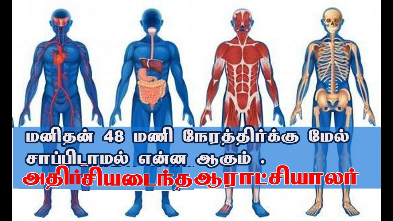 What happens to your body if you don't eat for more than 48 hours?
