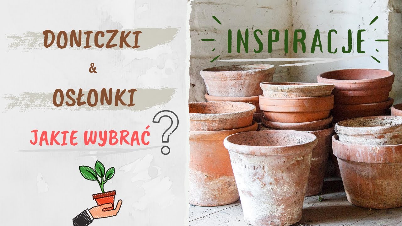 POMYSŁY NA DONICZKI I OSŁONKI - 🌿Moja kolekcja i dobór🌱