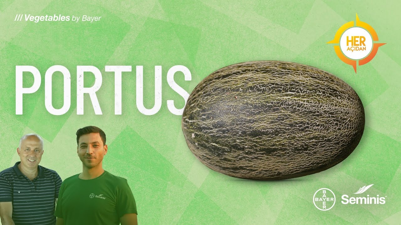 Her Açıdan: Portus