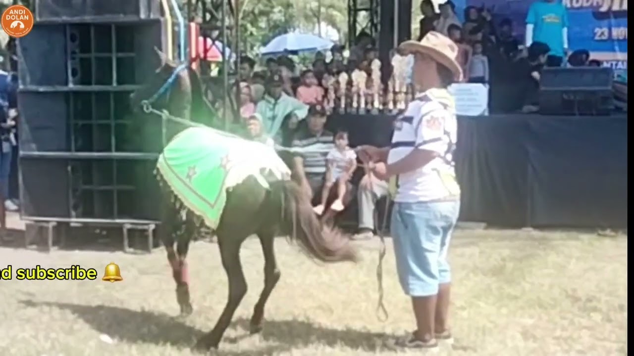 Kuda Joget Siap Beraksi [1]