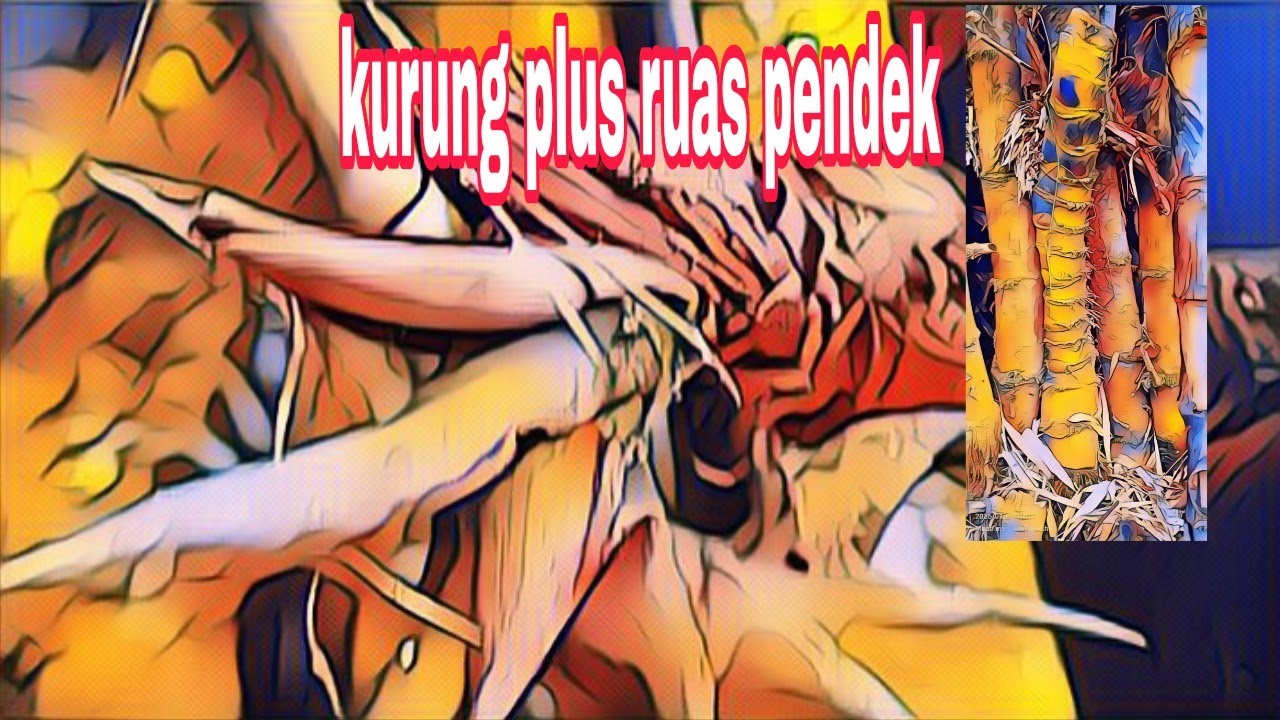 Ruas pendek   plus kurung ranting