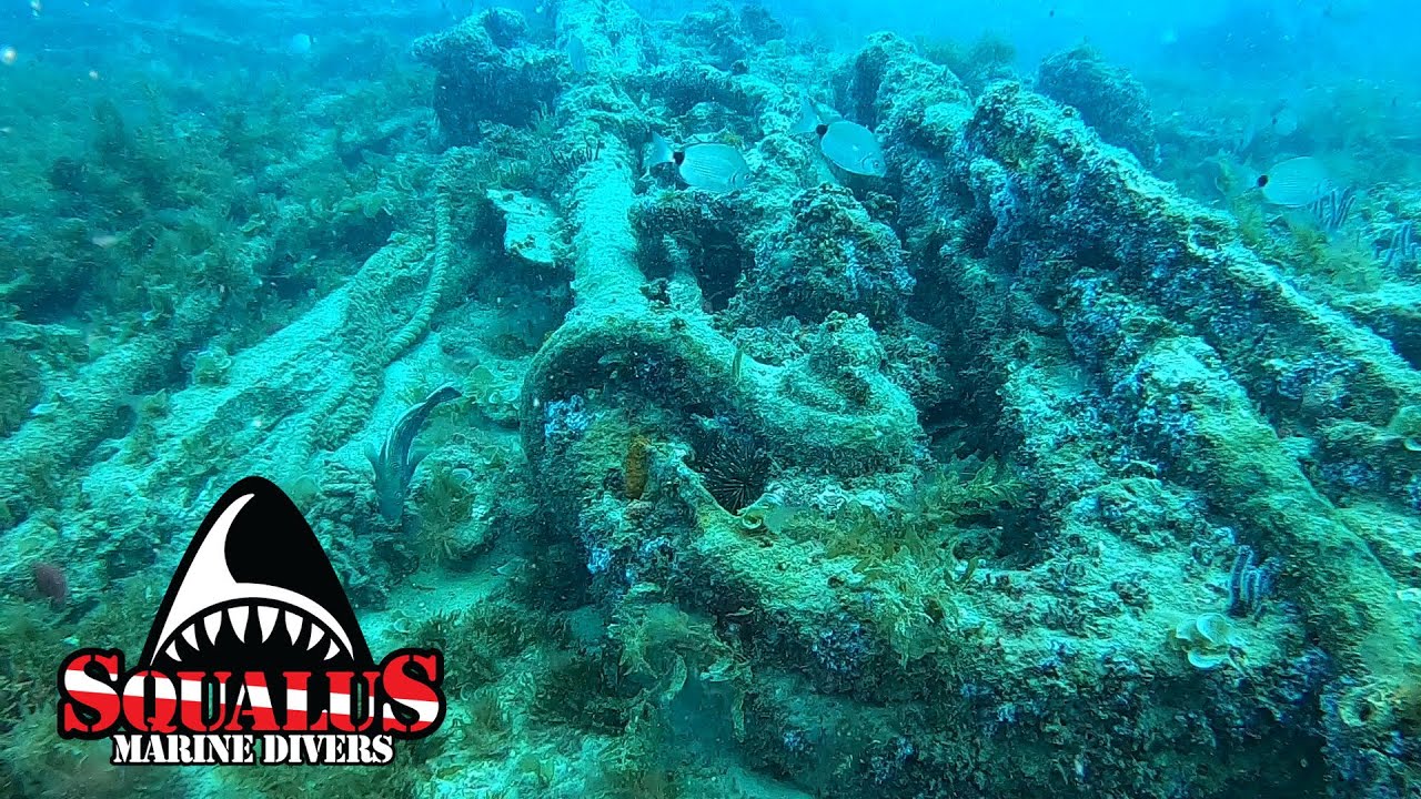 THE WRECK OF THE BRUZE REEB - BOW SECTION  #squalusmarine  #SQUALUSMARINEDIVERS