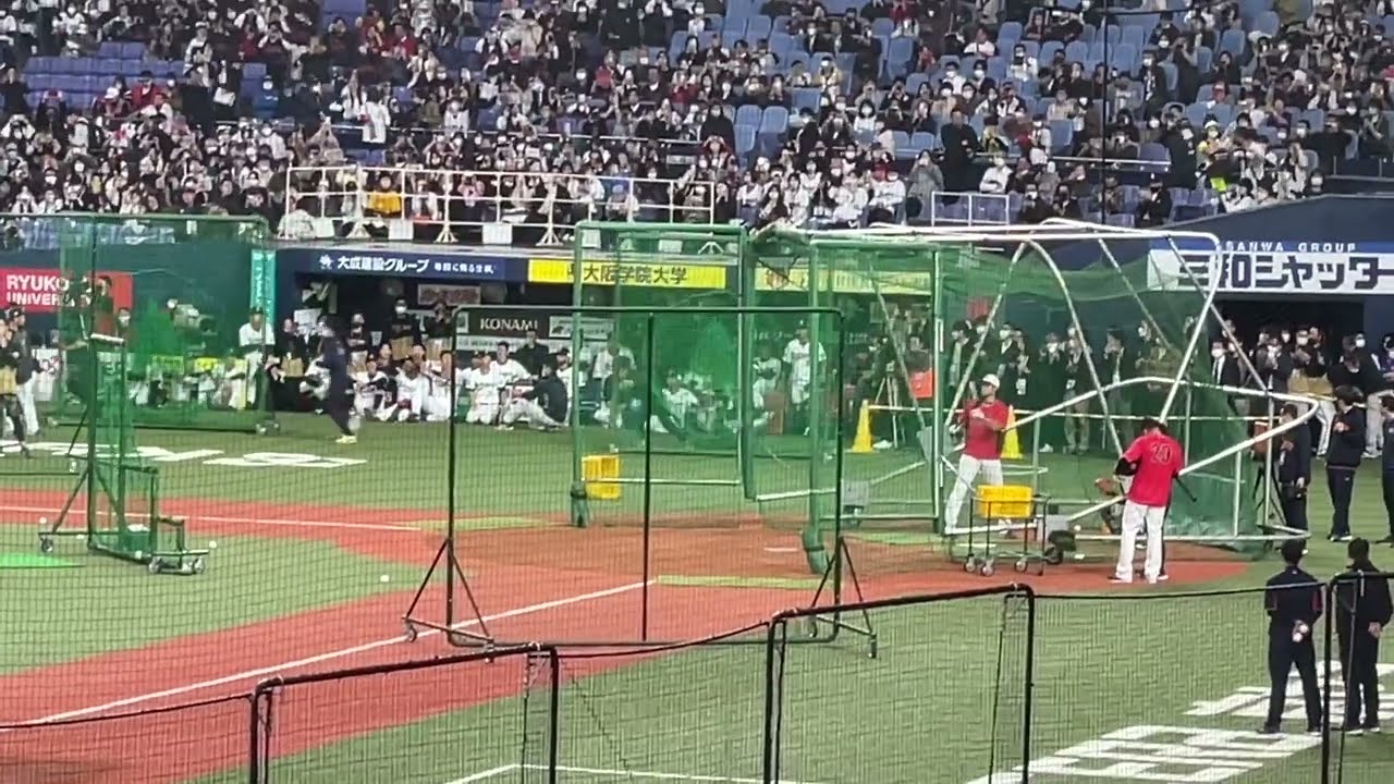 WBC強化試合 大谷選手フリーバッティング 衝撃の5階席着弾！！